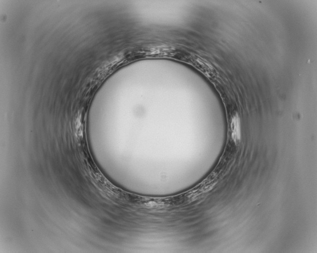 X0000088021395200706011312