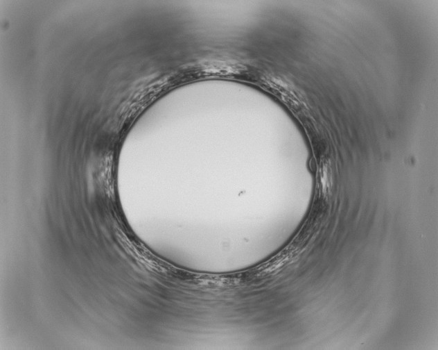 X0000088021396200706011312