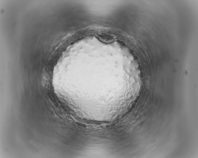 X0000088021397200706011312