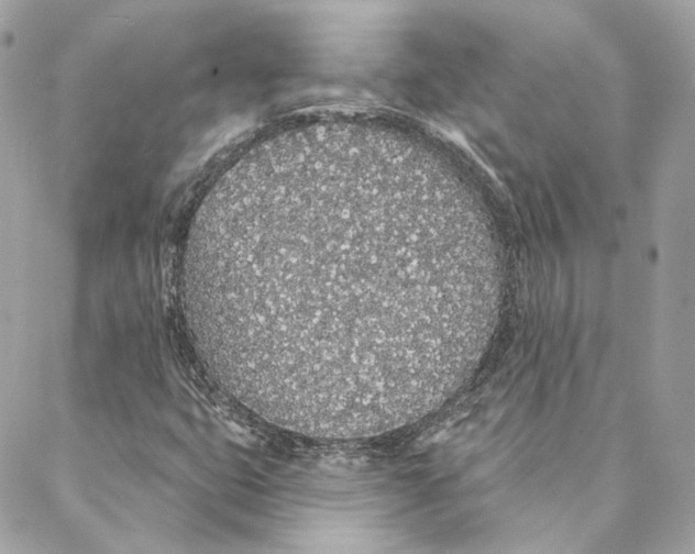 X0000088021399200706011312