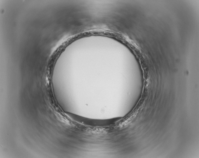 X0000088021400200706011312