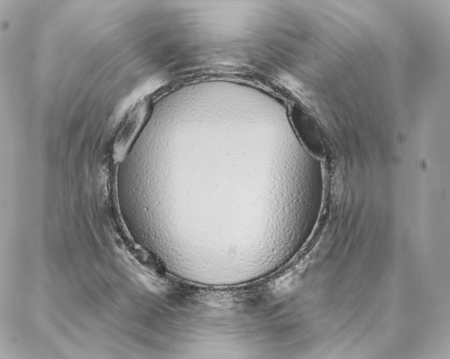 X0000088021402200706011313