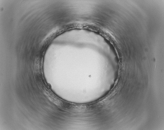 X0000088021403200706011313