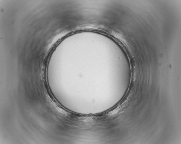 X0000088021404200706011313