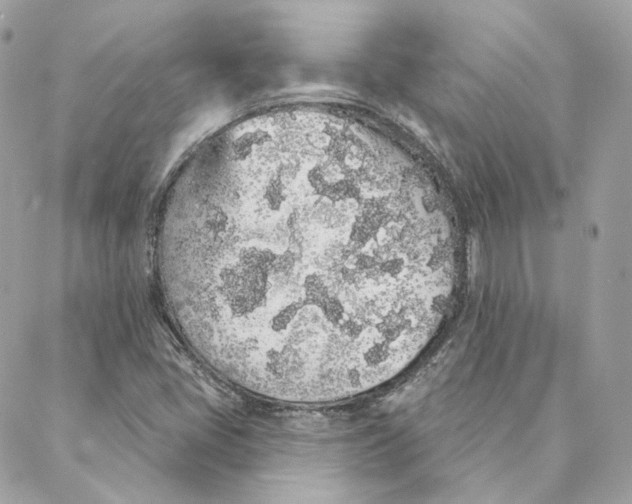 X0000088021405200706011313