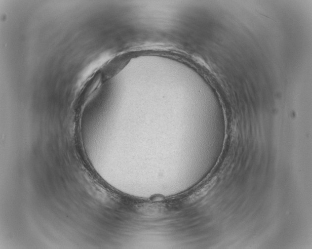 X0000088021406200706011313