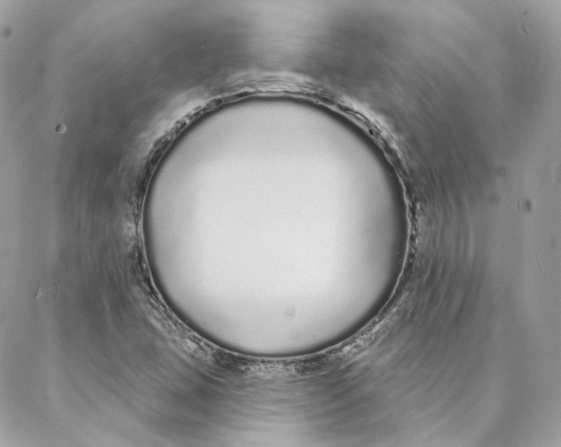 X0000088021407200706011313