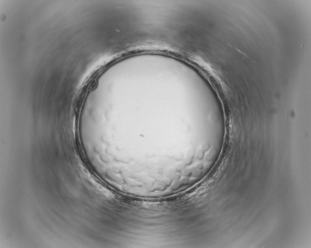 X0000088021408200706011313