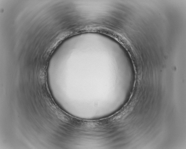 X0000088021409200706011313