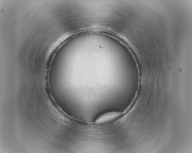 X0000088021410200706011313