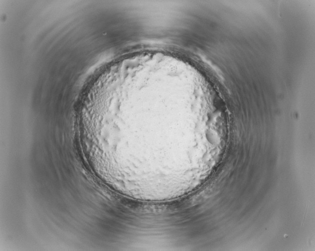 X0000088021411200706011313