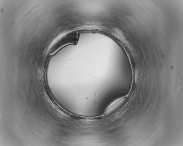 X0000088021412200706011313