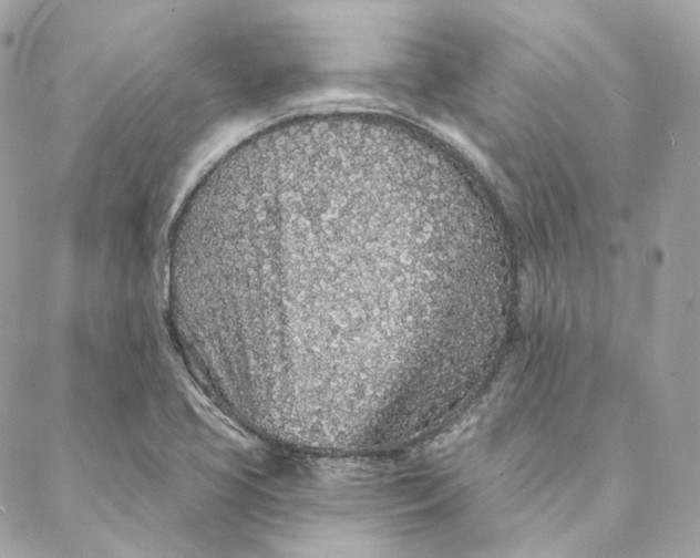 X0000088021413200706011313