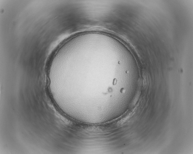 X0000088021414200706011313