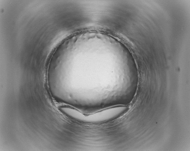 X0000088021415200706011313