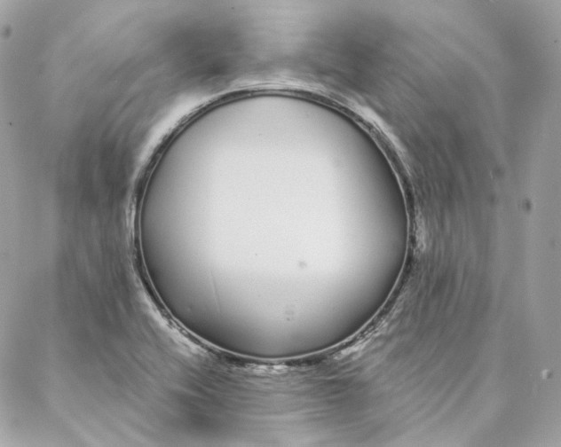 X0000088021416200706011313