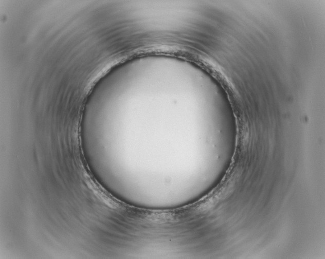 X0000088021417200706011313