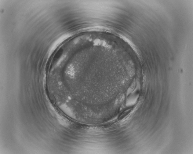 X0000088021418200706011313