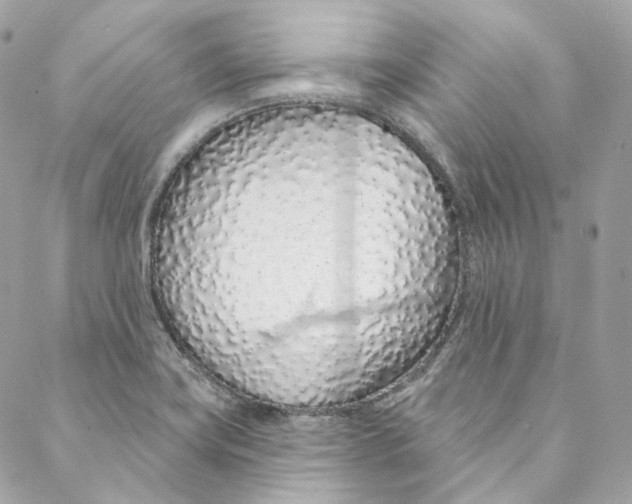 X0000088021419200706011313