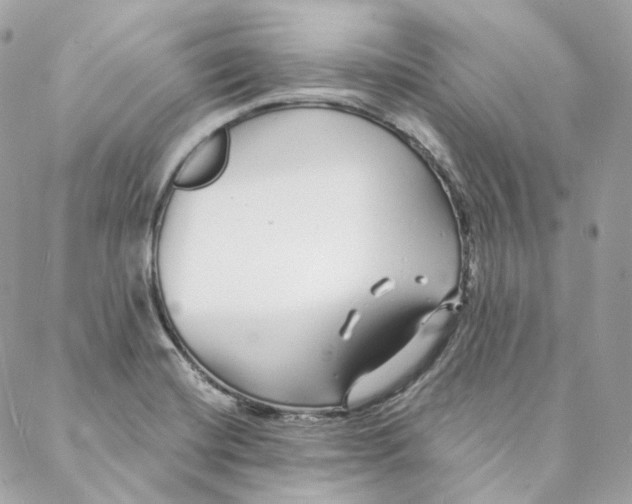 X0000088021420200706011313