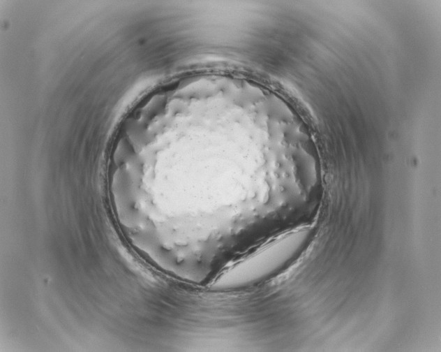 X0000088021421200706011313