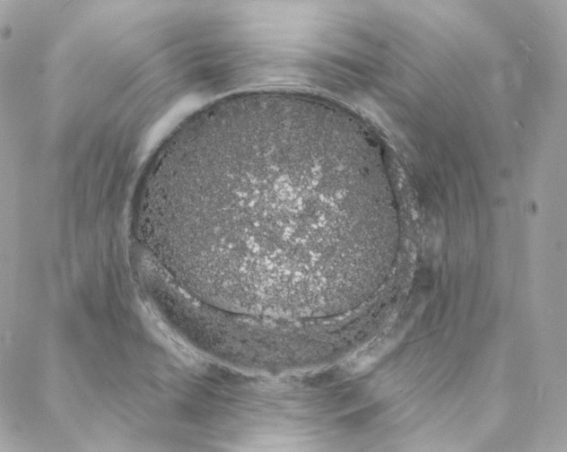 X0000088021422200706011313