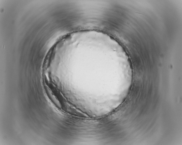 X0000088021423200706011313