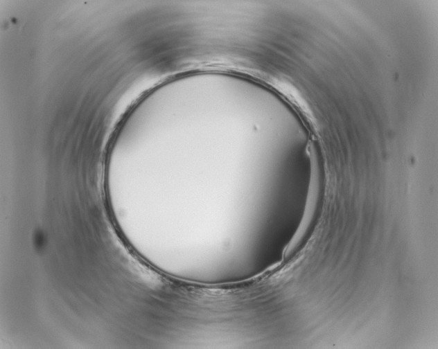 X0000088021424200706011313