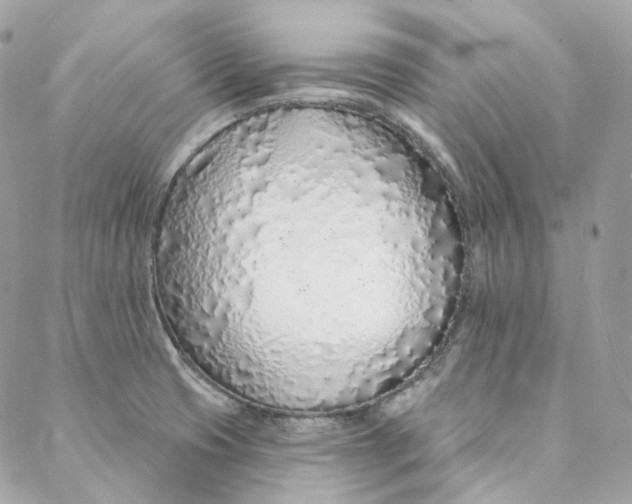 X0000088021425200706011313