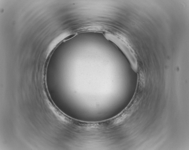 X0000088021426200706011313