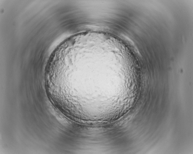 X0000088021427200706011313