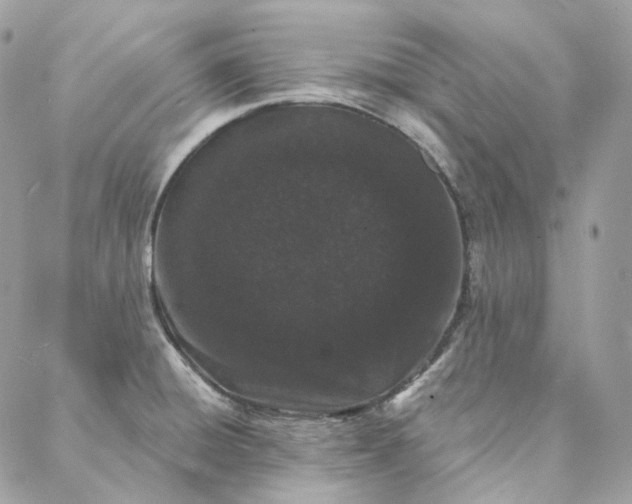 X0000088021428200706011313