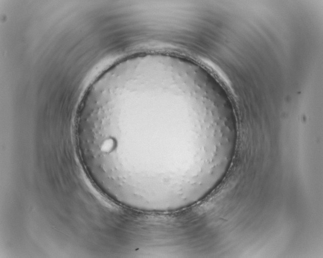 X0000088021429200706011313