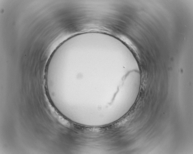 X0000088021431200706011313