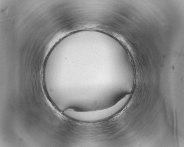 X0000088021432200706011313