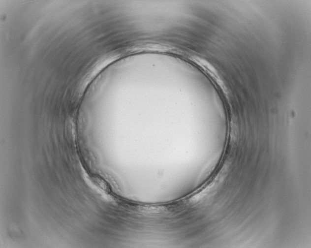 X0000088021433200706011313