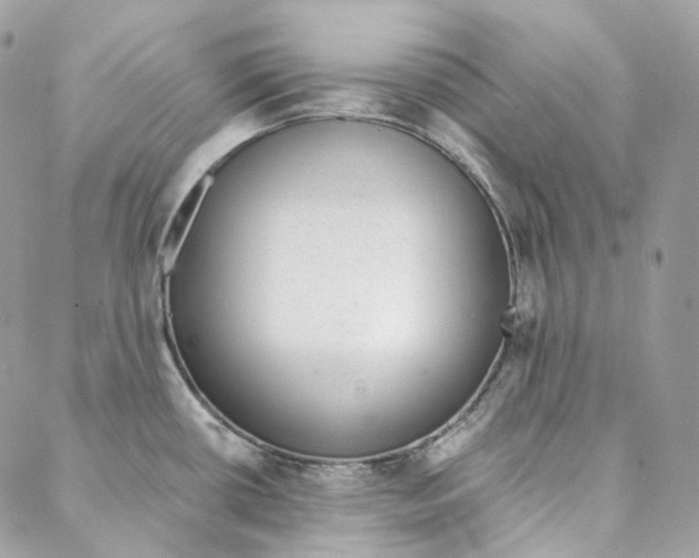 X0000088021434200706011313