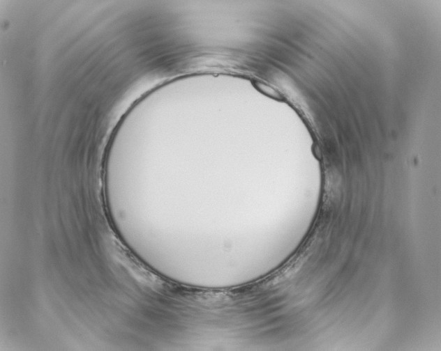 X0000088021435200706011313