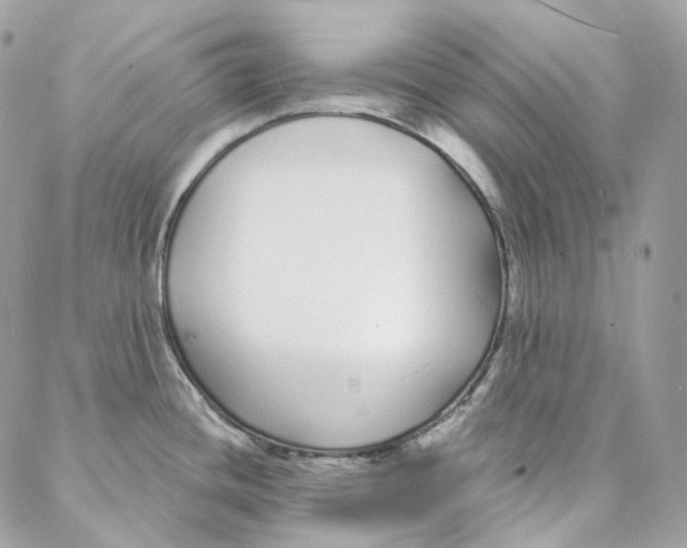 X0000088021436200706011313