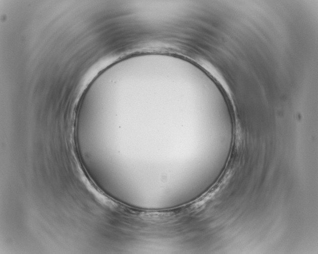 X0000088021437200706011313