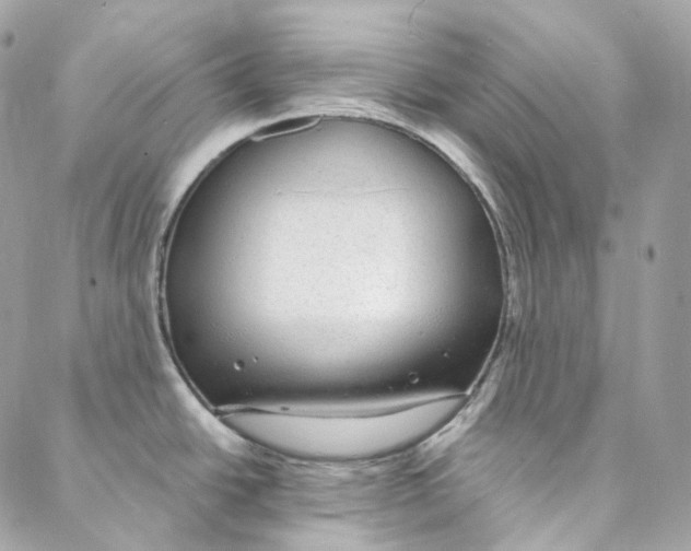 X0000088021438200706011313