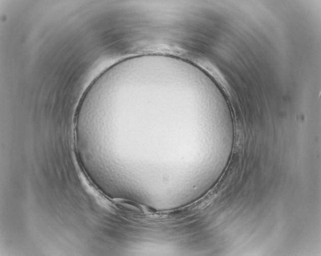 X0000088021439200706011313