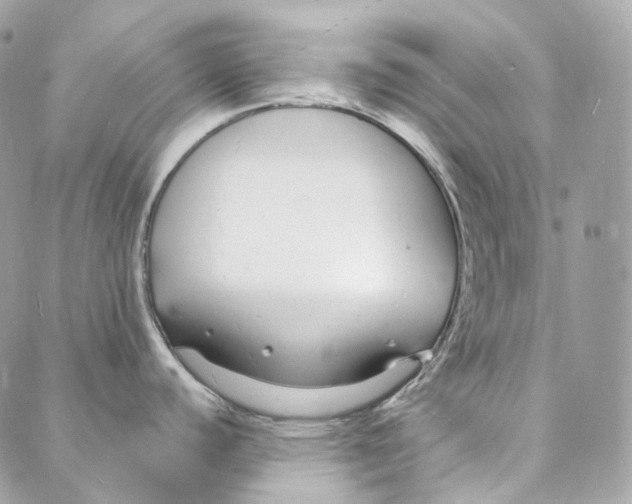 X0000088021440200706011313