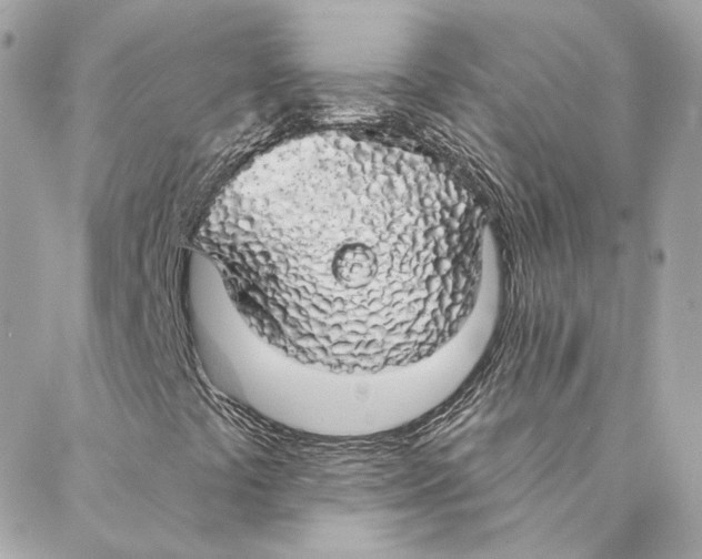 X0000088021441200706011312