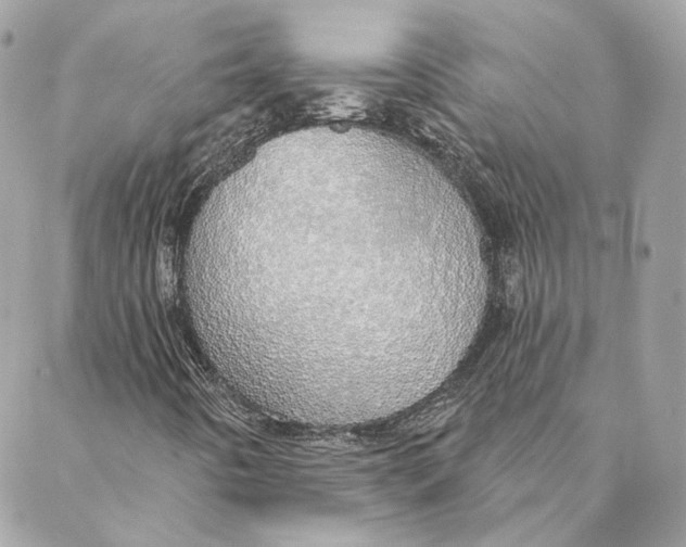 X0000088021442200706011312