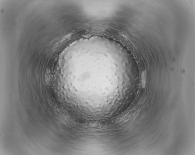 X0000088021443200706011312