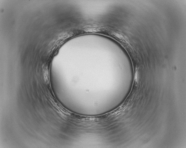 X0000088021444200706011312