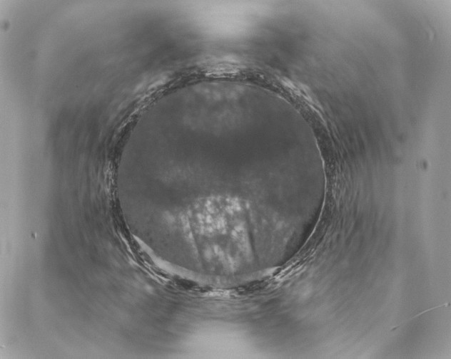 X0000088021445200706011312