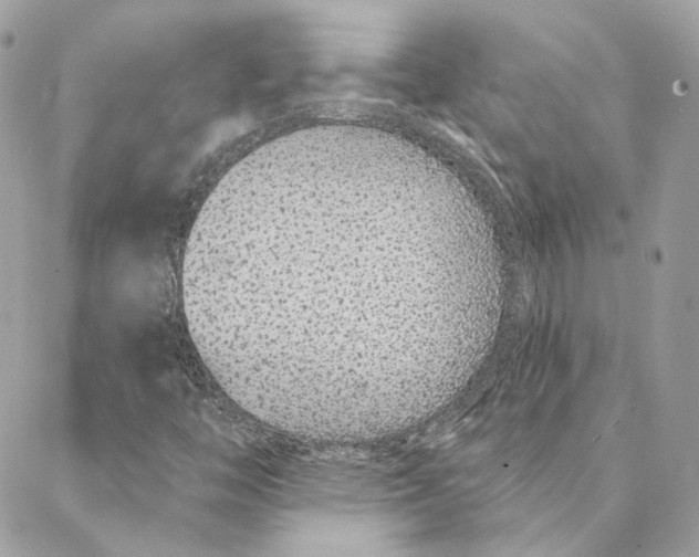 X0000088021446200706011312