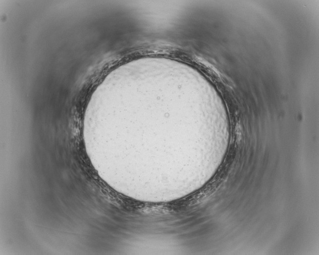 X0000088021447200706011312